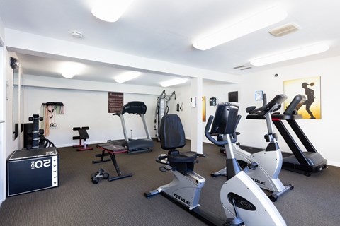 A gym with a variety of exercise equipment including treadmills, stationary bikes, and weight machines.