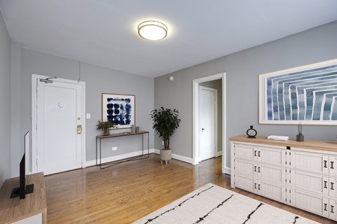 A living room with a white cabinet, a white door, a white wall, a white rug, a white plant, a white TV stand, a white framed picture, a white wall, a white ceiling, a white floor, a white