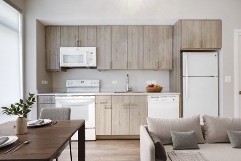 IZ Studio kitchen at Valo Apartments in the Southwest Waterfront in Washington, DC 20024