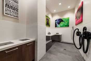 Pet spa wash station at Valo Apartments in Southwest Waterfront, Washington, DC 20024