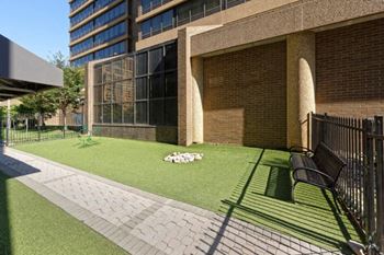 Dog park at Lenox Club, Arlington, Virginia