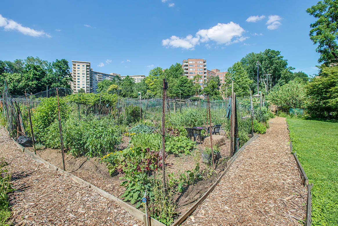 Nearby community garden in Glover Park at Park Crest Apartments in Washington D.C. 20007