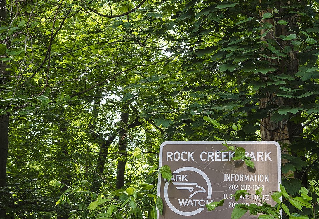 Nearby Rock Creek Park in Glover Park