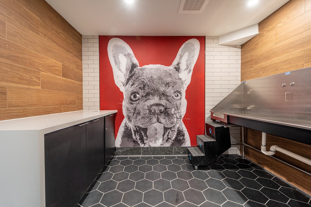 Pet spa at 1500 Arlington, Arlington