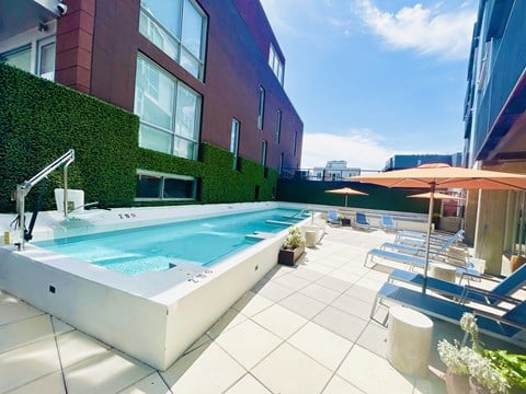 Pool at The Shay in Washington, DC 20001