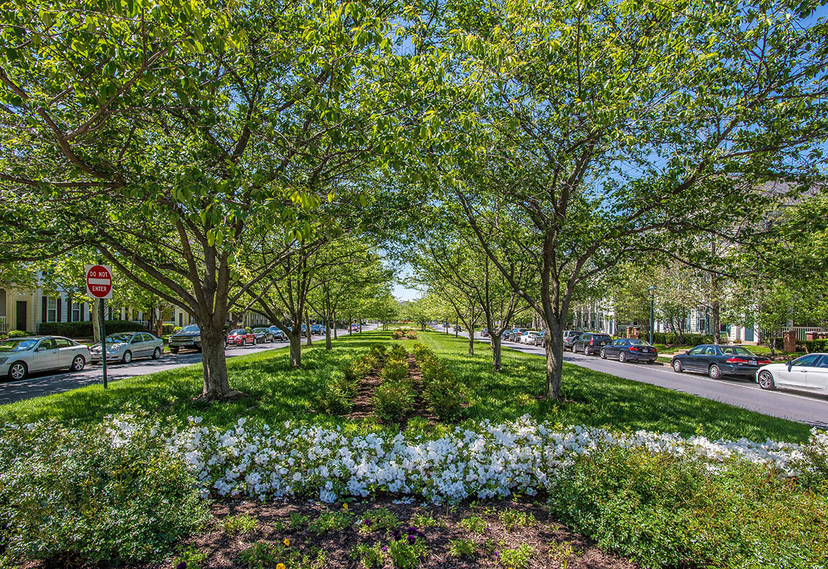 Entrance and exterior at The Residences at King Farm Apartments, Rockville, 20850