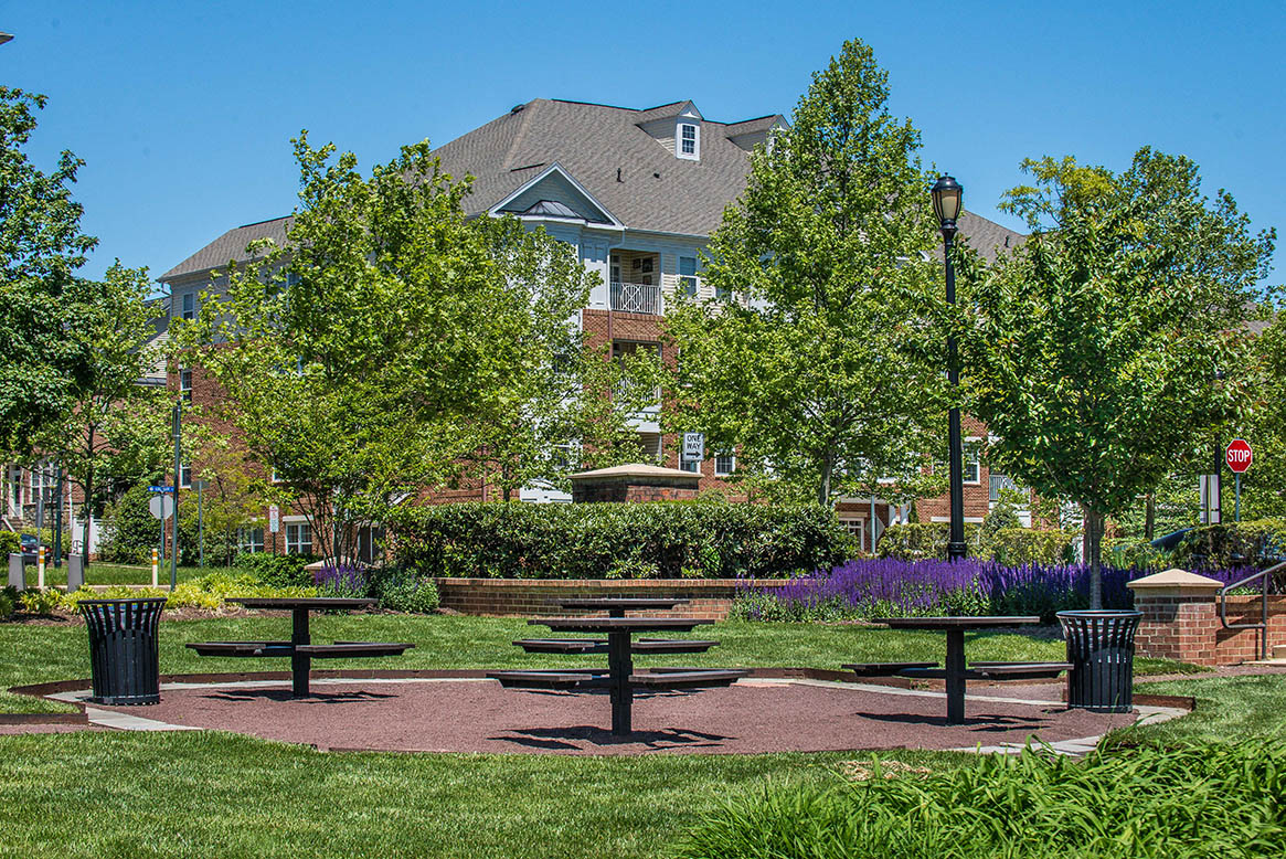 Picnic area at The Residences at King Farm Apartments, Rockville, Maryland