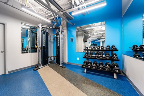 Free weights and cable training at The Diplomat Apartments in Washington DC