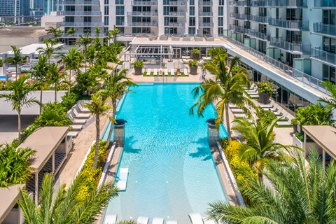 A large swimming pool surrounded by palm trees and lounge chairs.