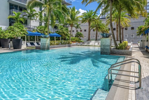 A pool surrounded by palm trees and plants.