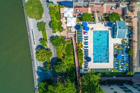 An aerial view of a pool surrounded by trees and a building.