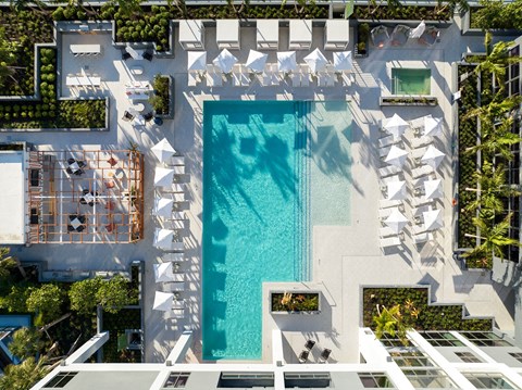 A large swimming pool surrounded by white lounge chairs and plants.
