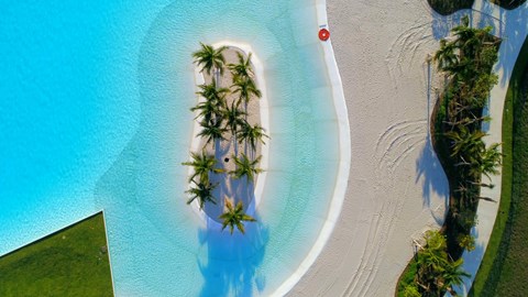 A small island with a palm tree in the middle of a pool.