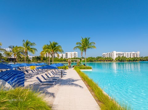 A row of blue sun loungers are on the left of a walkway leading to a body of water.