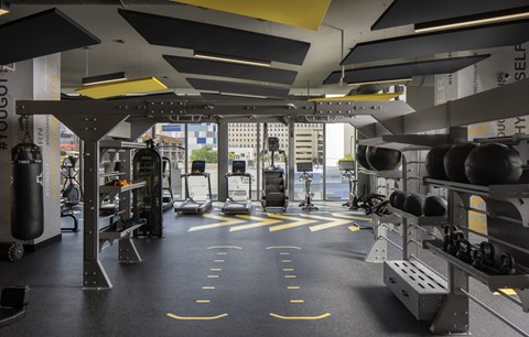 A gym with a variety of equipment including treadmills, weights and exercise machines.