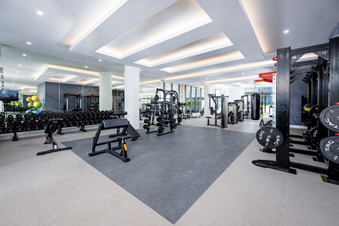 A gym with a variety of equipment including weights and machines.
