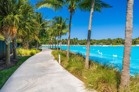 A walkway with palm trees on either side leads to a bright blue pool.