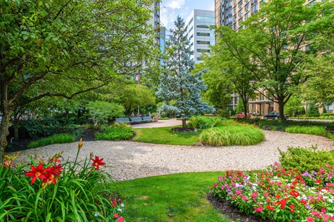 A garden with a gravel path and a variety of flowers.