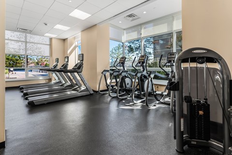 A gym with treadmills, elliptical machines, and a weight machine.