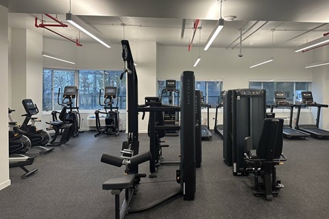 A gym with a variety of equipment including treadmills, weights, and exercise machines.