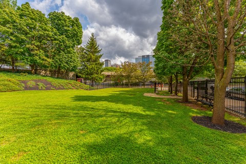 A park with a grassy area and trees.