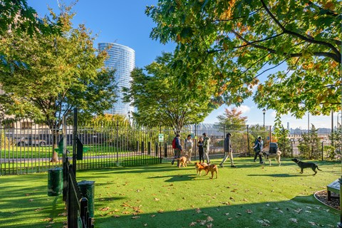 A park with people and dogs on a sunny day.