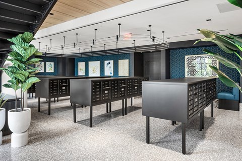 A modern office space with black furniture and plants.