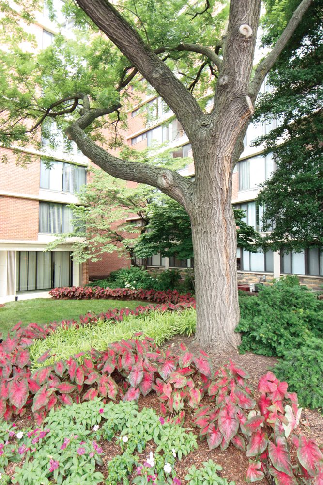 Calvert House Apartments, 2401 Calvert Street, NW, Washington, DC