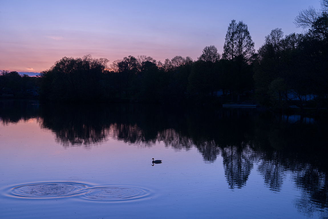 Beautiful Views at Evergreens at Columbia Town Center, Columbia, MD,21044