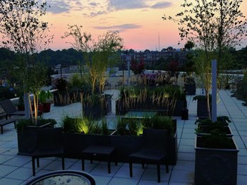 Rooftop Deck at Quebec House, Washington - Photo Gallery 21