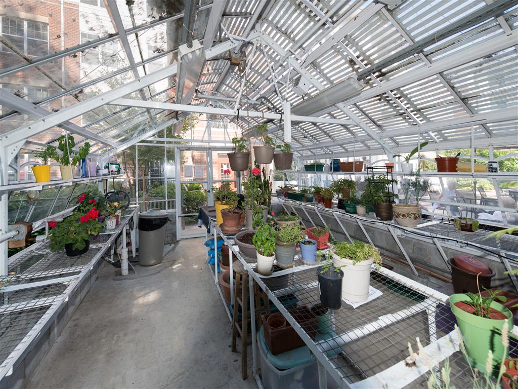 Climate Controlled Greenhouse Evergreens at Columbia Town Center, Columbia, 21044