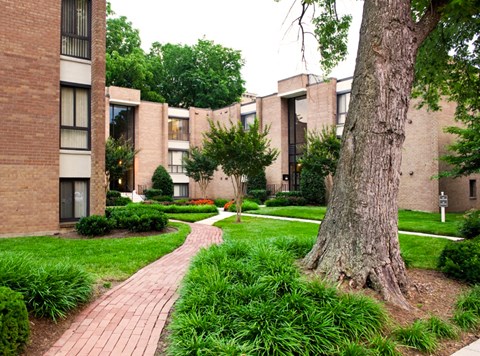 Building courtyard at Park Pleasant apartments