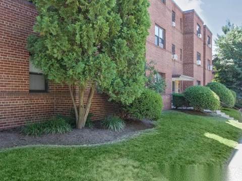 A tree in front of a red brick building.