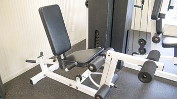 A black and white gym bench with a black seat and backrest.