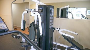 A treadmill and a weight machine in a gym.