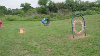 A playground with a blue and red ring and a yellow block.