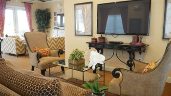 A living room with a television, a chair, and a potted plant.