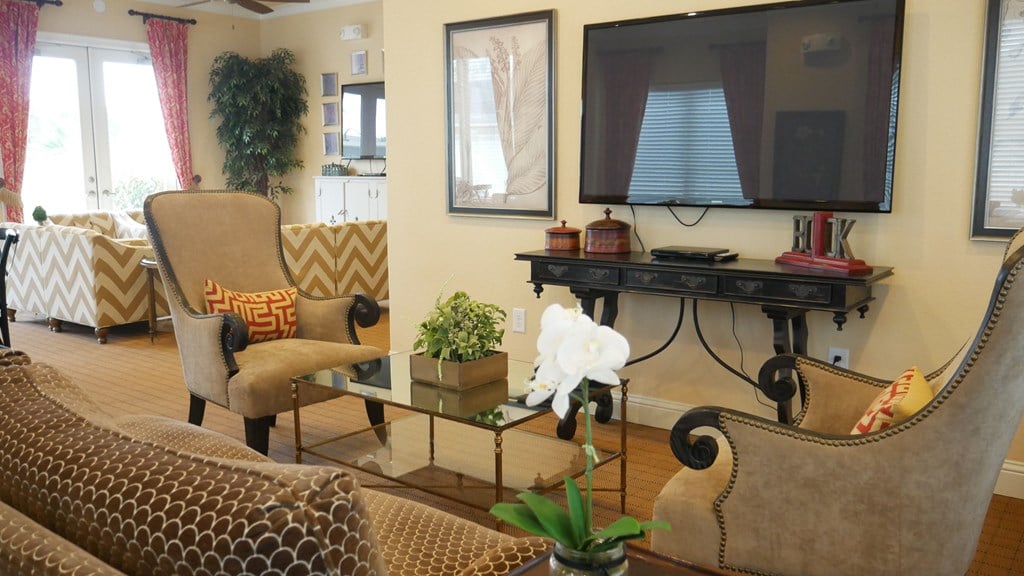 A living room with a television, a chair, and a potted plant.