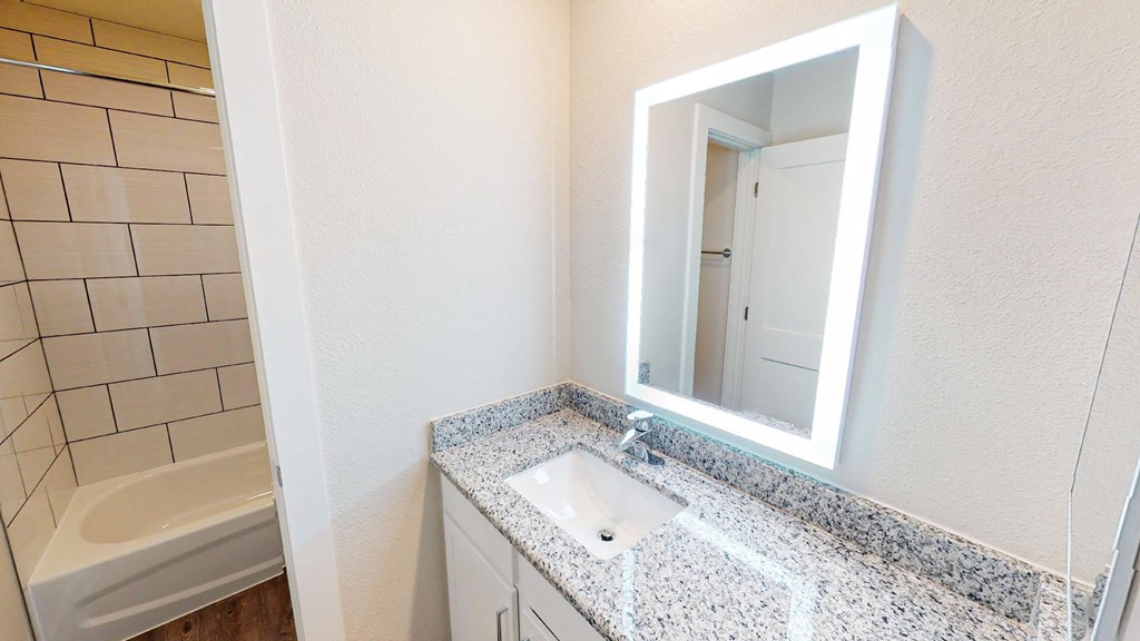 A bathroom with a white sink and a mirror.