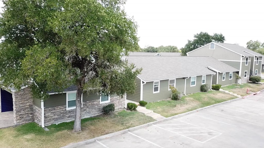 A tree in front of a building with a parking lot in front of it.