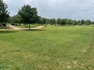 A grassy field with a few trees and a flag in the distance.