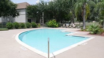 A small pool surrounded by trees and plants.