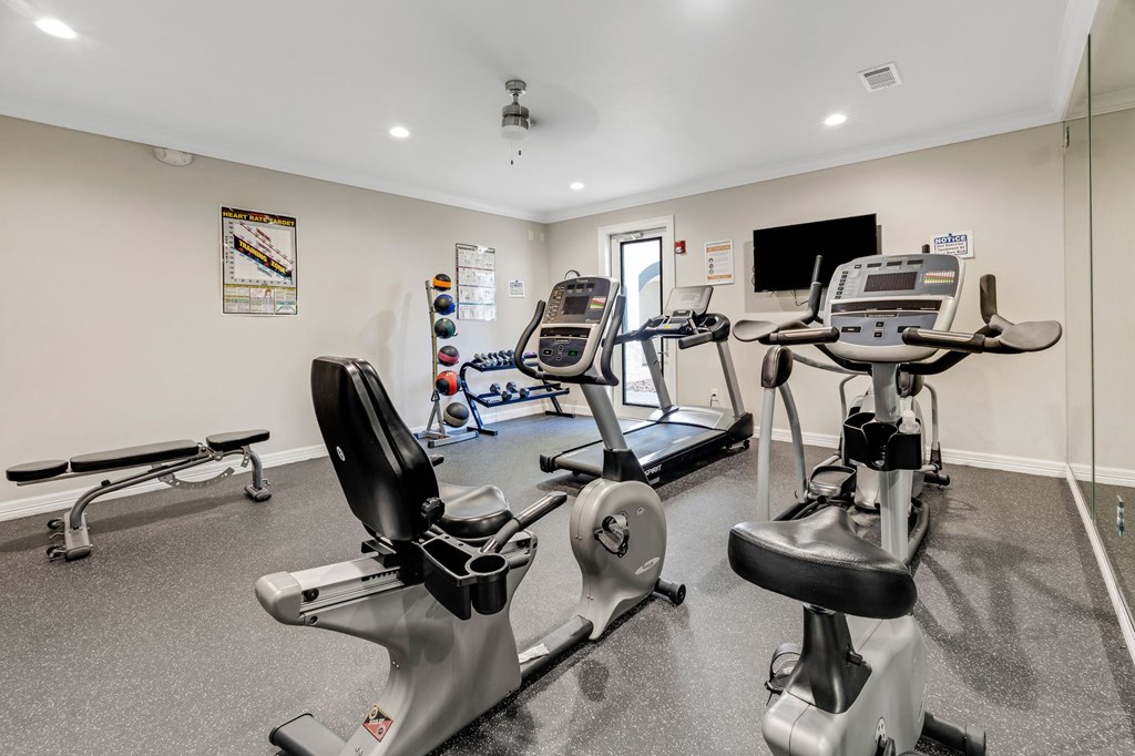 the gym is equipped with state of the art equipment for your use
