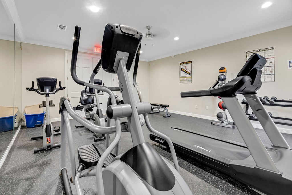 the gym is equipped with treadmills and other exercise equipment