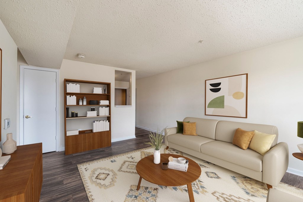 A living room with a couch, coffee table, and a rug.