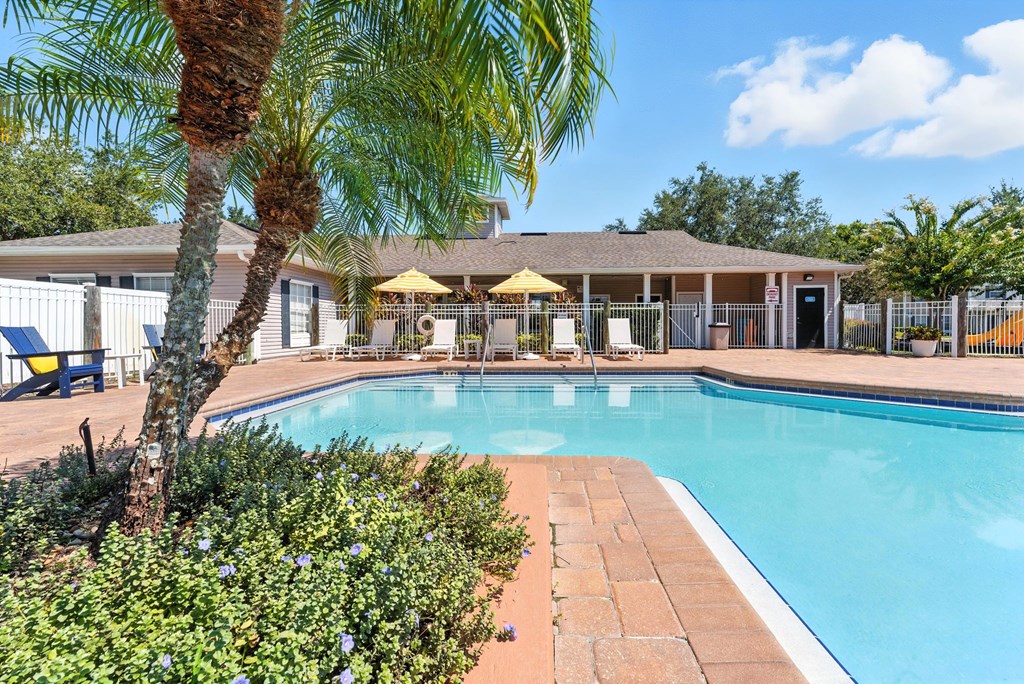 A pool surrounded by a brick border and a palm tree.