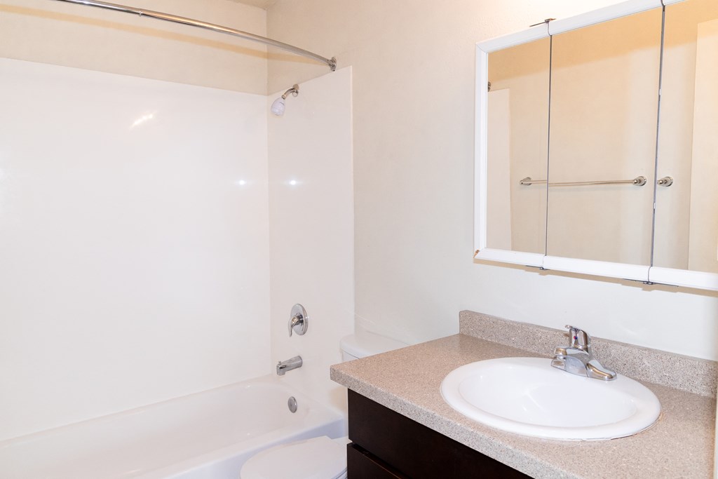 a bathroom with a sink and shower and a mirror