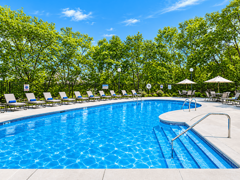 A swimming pool surrounded by trees and lounge chairs.