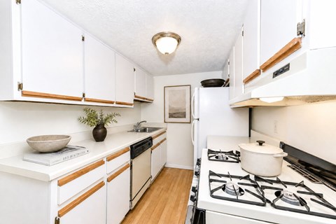 A white kitchen with a stove top oven.