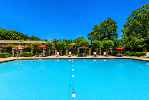 Resort style swimming pool with lounge seating at Stonetree Apartments, East Point, GA
